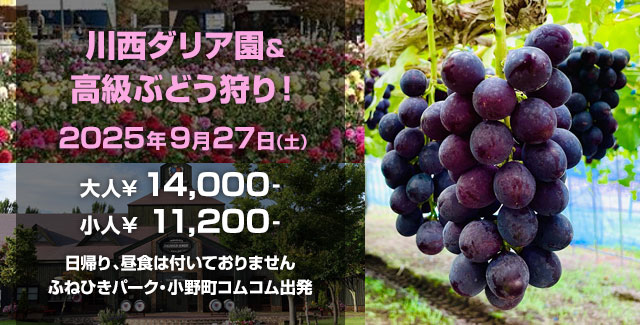 川西ダリア園＆高級ぶどう狩り！